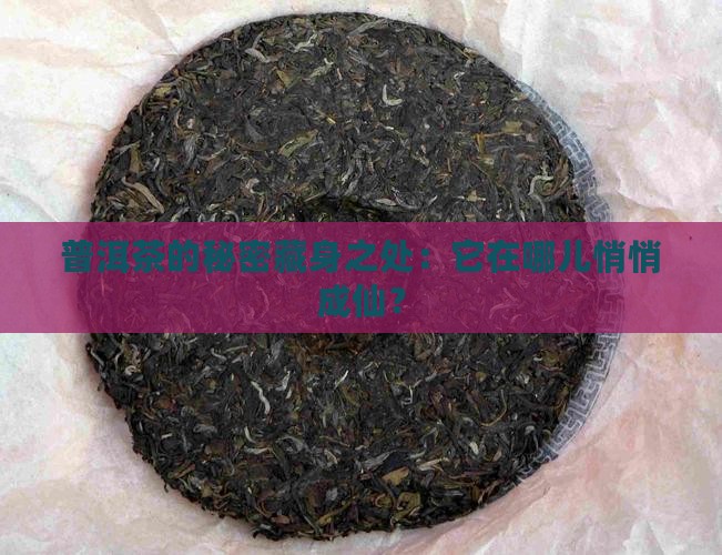 普洱茶的秘密藏身之处：它在哪儿悄悄成仙？