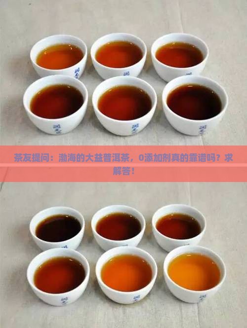 茶友提问：渤海的大益普洱茶，0添加剂真的靠谱吗？求解答！