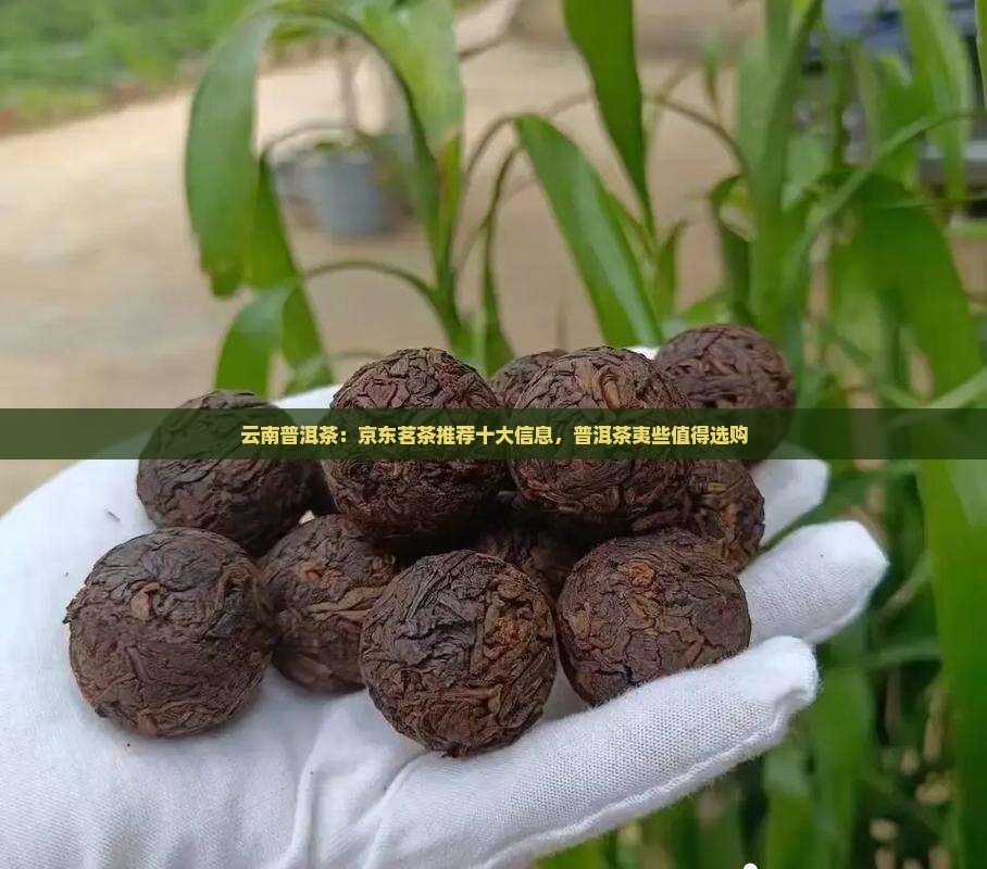 云南普洱茶：京东茗茶推荐十大信息，普洱茶夷些值得选购