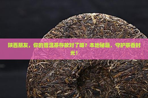 陕西朋友，你的普洱茶存放对了嘛？本地秘籍，守护茶香时光！