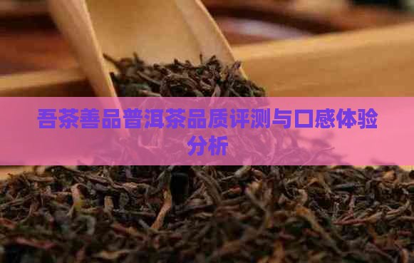 吾茶善品普洱茶品质评测与口感体验分析