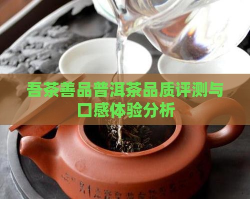 吾茶善品普洱茶品质评测与口感体验分析