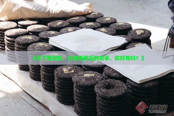 《天下普洱茶，价格表背后的故事，你好奇吗？》