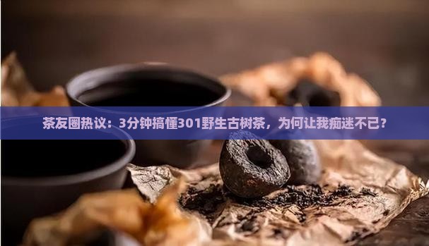 茶友圈热议：3分钟搞懂301野生古树茶，为何让我痴迷不已？