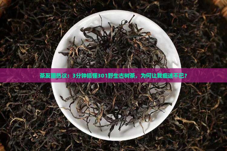 茶友圈热议：3分钟搞懂301野生古树茶，为何让我痴迷不已？