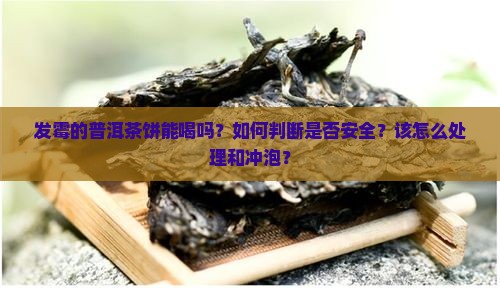 发霉的普洱茶饼能喝吗？如何判断是否安全？该怎么处理和冲泡？