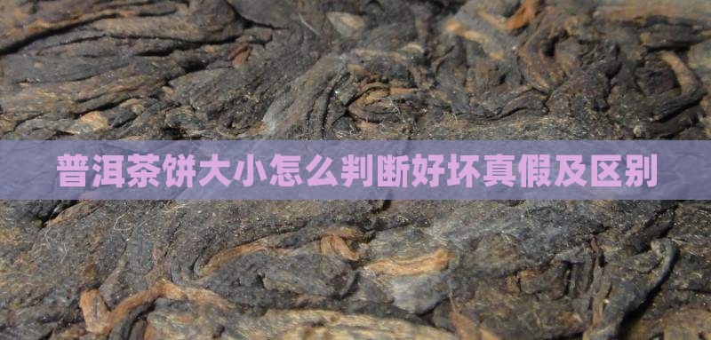 普洱茶饼大小怎么判断好坏真假及区别