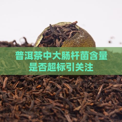 普洱茶中大肠杆菌含量是否超标引关注