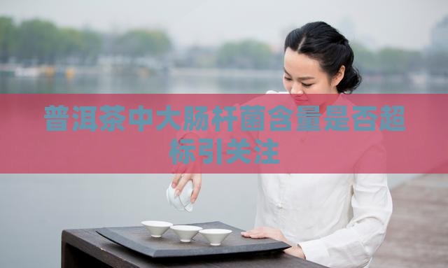 普洱茶中大肠杆菌含量是否超标引关注