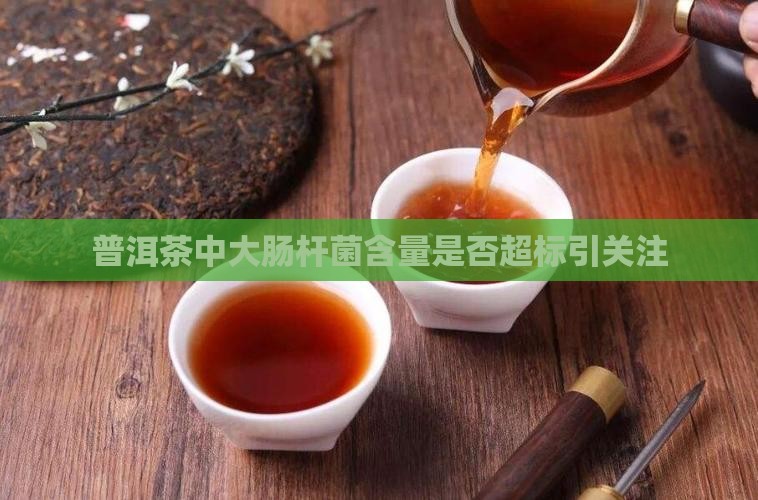 普洱茶中大肠杆菌含量是否超标引关注