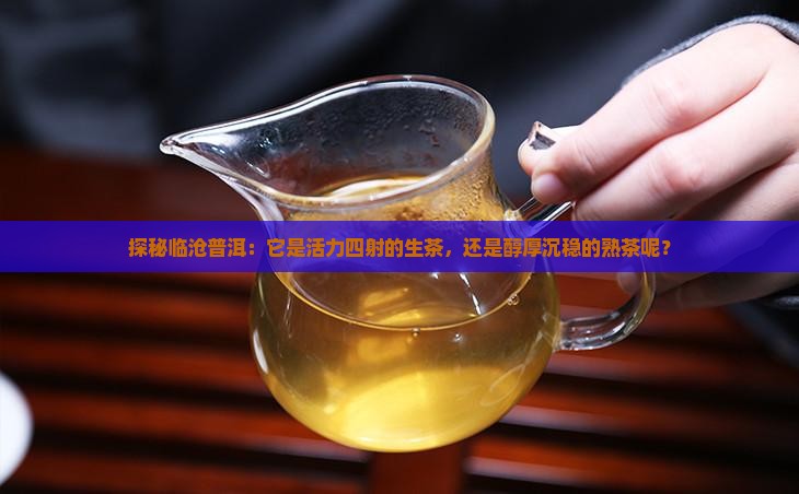 探秘临沧普洱：它是活力四射的生茶，还是醇厚沉稳的熟茶呢？