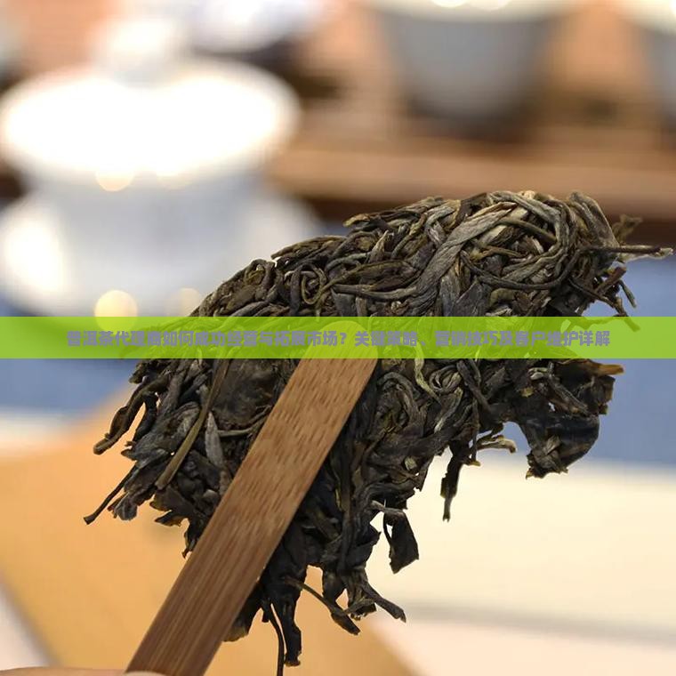 普洱茶代理商如何成功经营与拓展市场？关键策略、营销技巧及客户维护详解