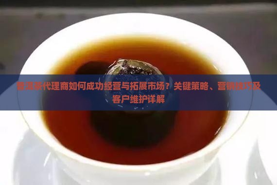 普洱茶代理商如何成功经营与拓展市场？关键策略、营销技巧及客户维护详解