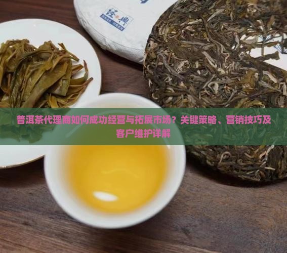 普洱茶代理商如何成功经营与拓展市场？关键策略、营销技巧及客户维护详解