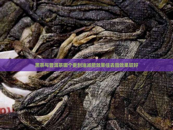 黑茶与普洱茶哪个更刮油减肥效果佳去脂效果较好