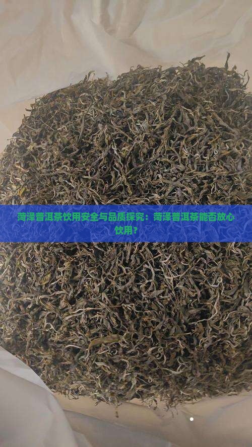 菏泽普洱茶饮用安全与品质探究：菏泽普洱茶能否放心饮用？