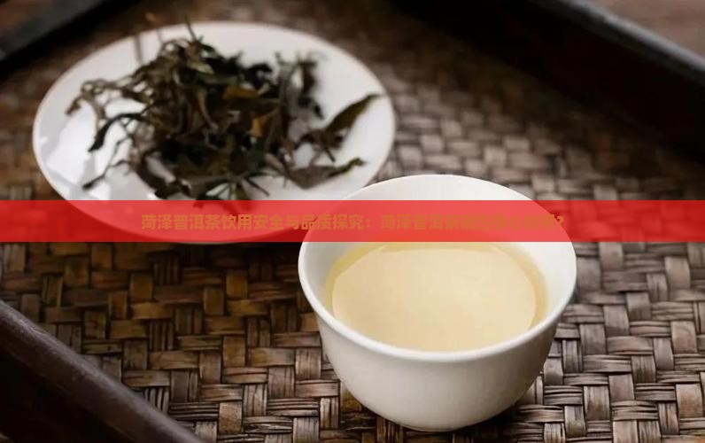 菏泽普洱茶饮用安全与品质探究：菏泽普洱茶能否放心饮用？