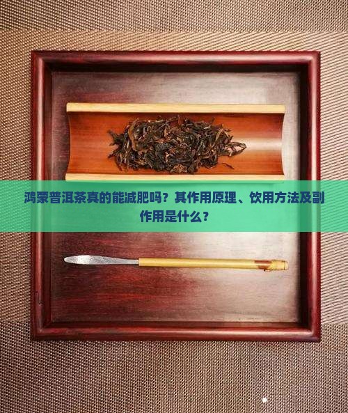 鸿蒙普洱茶真的能减肥吗？其作用原理、饮用方法及副作用是什么？