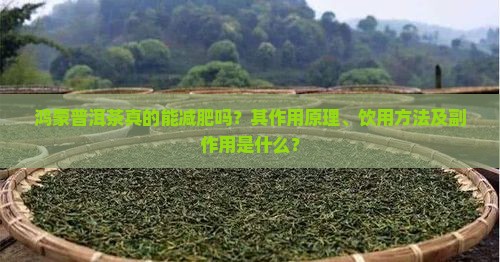 鸿蒙普洱茶真的能减肥吗？其作用原理、饮用方法及副作用是什么？