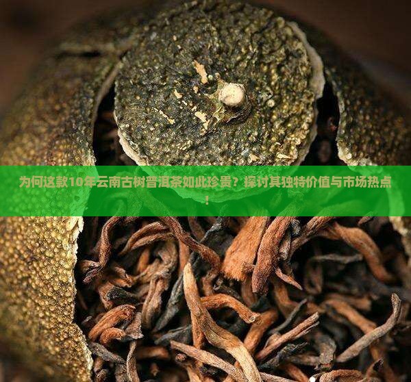 为何这款10年云南古树普洱茶如此珍贵？探讨其独特价值与市场热点！
