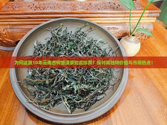 为何这款10年云南古树普洱茶如此珍贵？探讨其独特价值与市场热点！