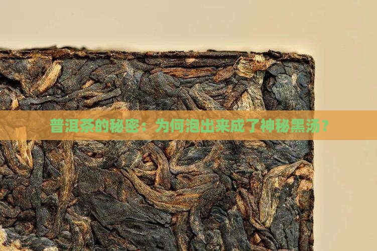 普洱茶的秘密：为何泡出来成了神秘黑汤？