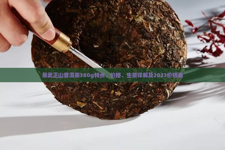 易武正山普洱茶380g特点、价格、生茶详解及2023价格表