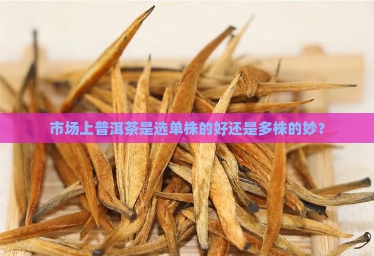 市场上普洱茶是选单株的好还是多株的妙？