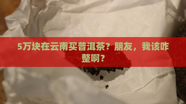 5万块在云南买普洱茶？朋友，我该咋整啊？
