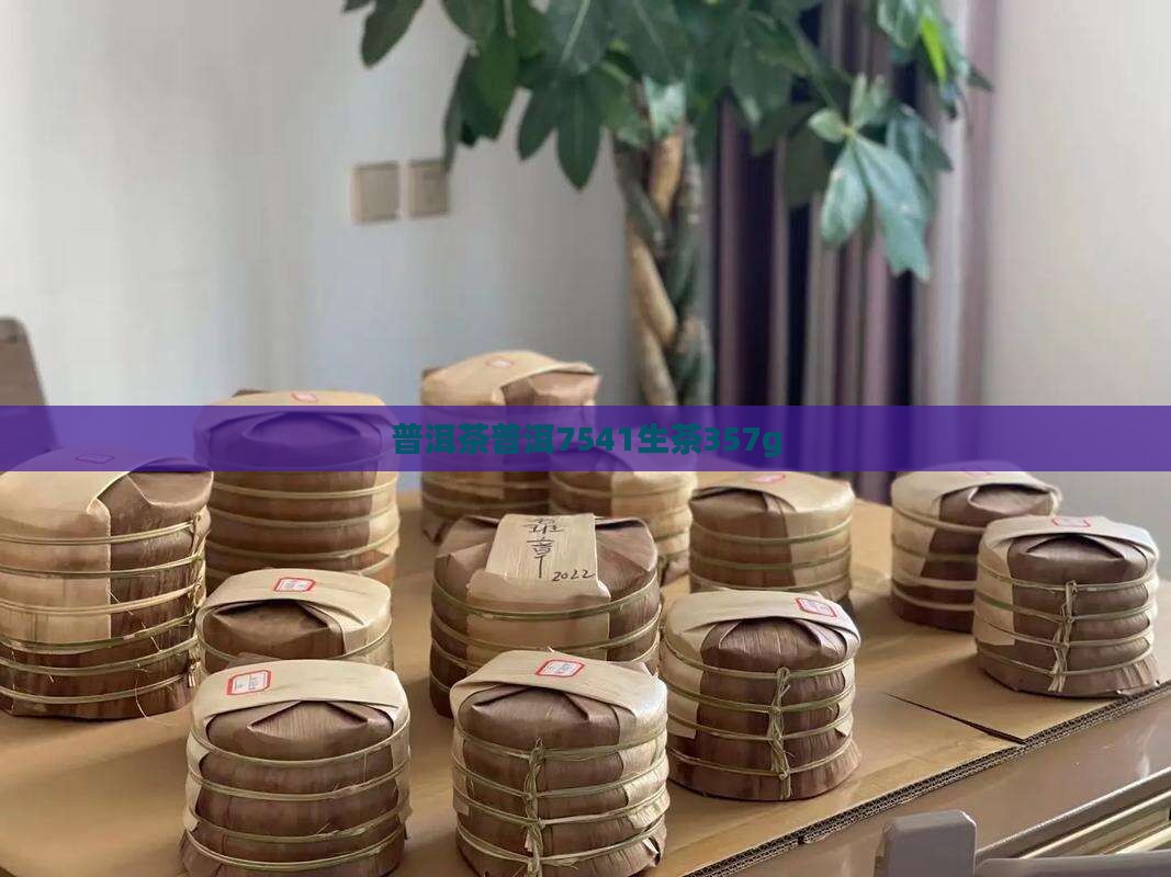 普洱茶普洱7541生茶357g