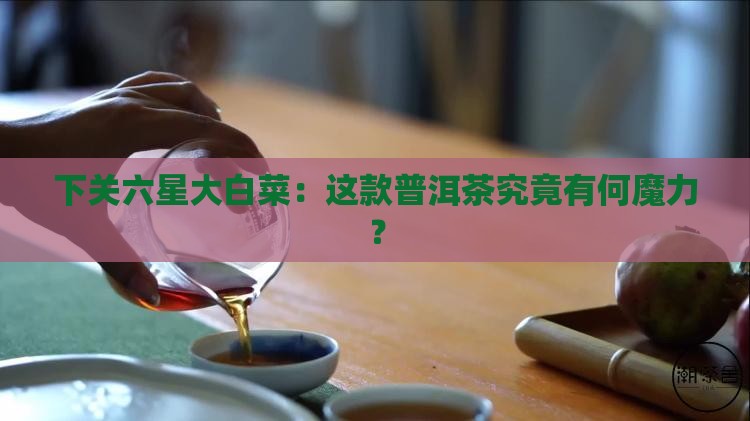 下关六星大白菜：这款普洱茶究竟有何魔力？
