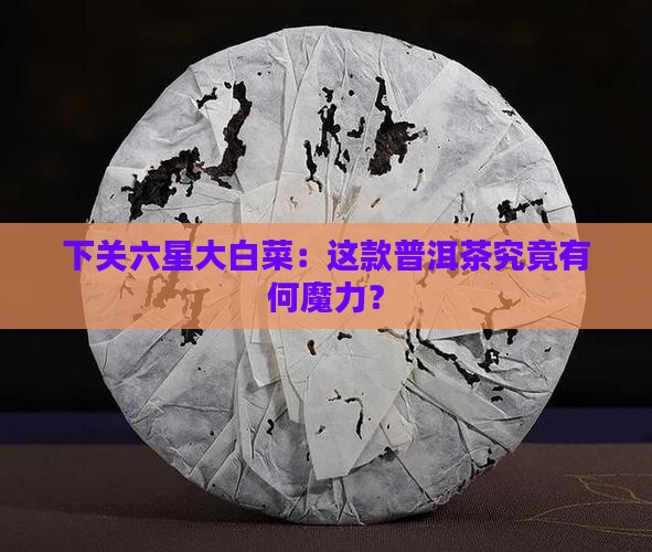 下关六星大白菜：这款普洱茶究竟有何魔力？