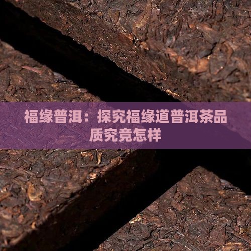 福缘普洱：探究福缘道普洱茶品质究竟怎样