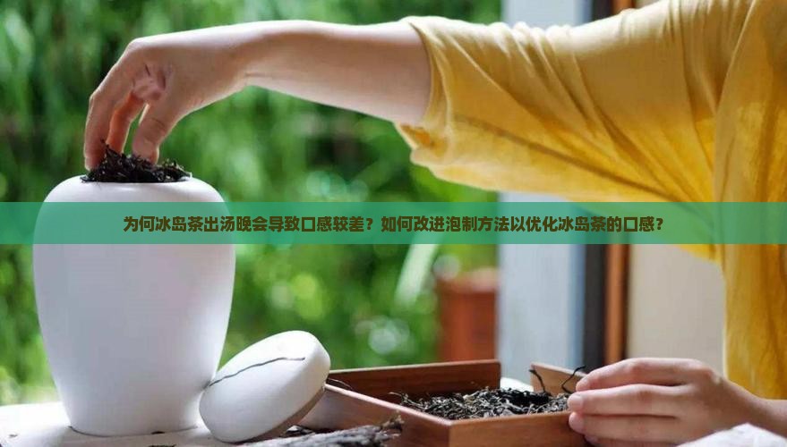 为何冰岛茶出汤晚会导致口感较差？如何改进泡制方法以优化冰岛茶的口感？