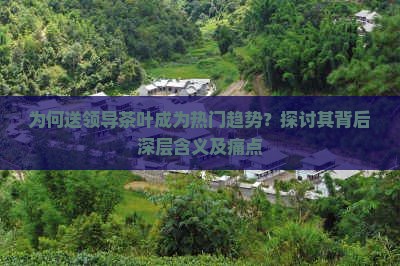 为何送领导茶叶成为热门趋势？探讨其背后深层含义及痛点