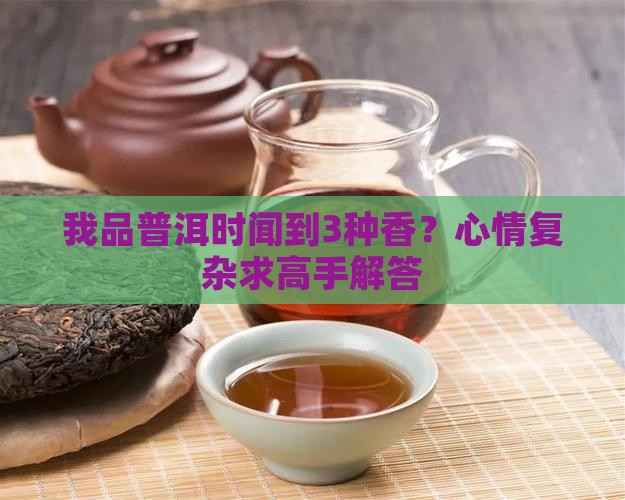 我品普洱时闻到3种香？心情复杂求高手解答