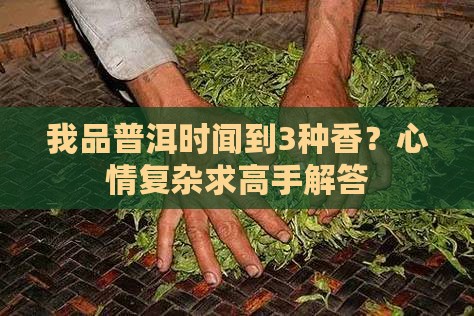 我品普洱时闻到3种香？心情复杂求高手解答