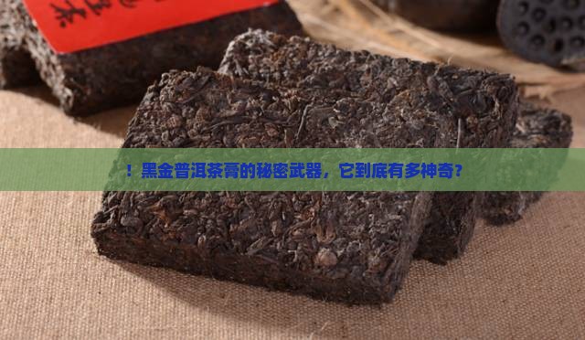！黑金普洱茶膏的秘密武器，它到底有多神奇？