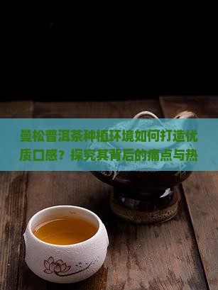 曼松普洱茶种植环境如何打造优质口感？探究其背后的痛点与热点新技术应用
