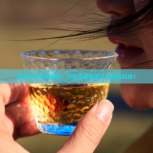 普洱茶的家族秘密：它究竟藏着哪几种独特风味？