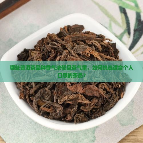哪些普洱茶品种香气浓郁且茶气重，如何挑选适合个人口感的茶品？