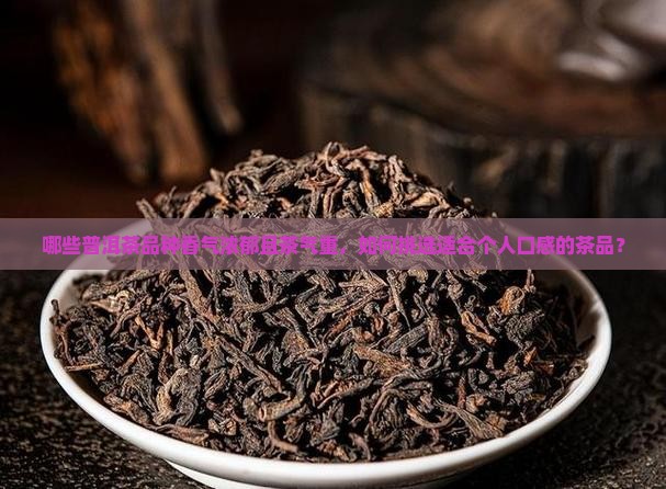 哪些普洱茶品种香气浓郁且茶气重，如何挑选适合个人口感的茶品？