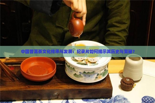 中国普洱茶文化传承与发展：纪录片如何揭示其历史与奥秘？