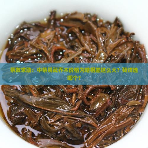 茶友求助：中茶易武乔木价格为啥相差这么大？我该选哪个？