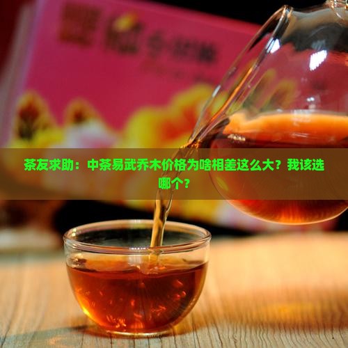 茶友求助：中茶易武乔木价格为啥相差这么大？我该选哪个？