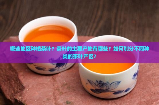 哪些地区种植茶叶？茶叶的主要产地有哪些？如何划分不同种类的茶叶产区？