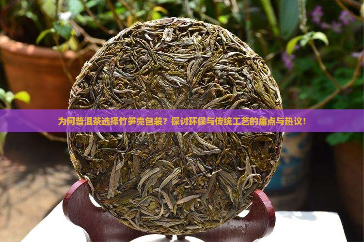 为何普洱茶选择竹笋壳包装？探讨环保与传统工艺的痛点与热议！