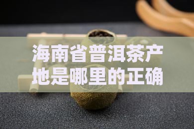 海南省普洱茶产地是哪里的正确答案