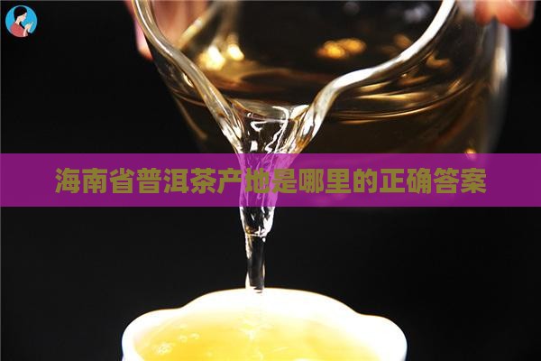海南省普洱茶产地是哪里的正确答案