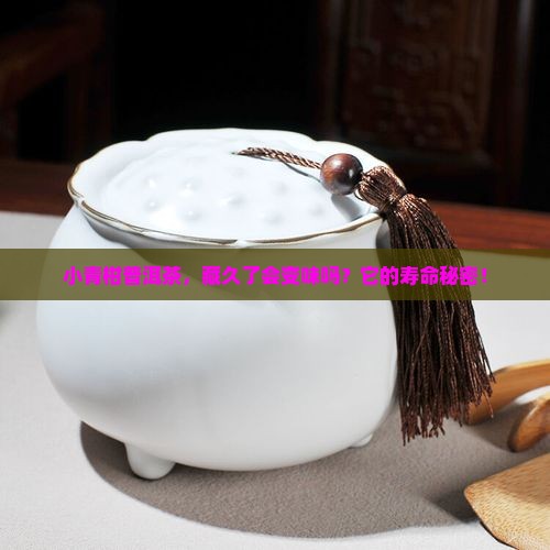 小青柑普洱茶，藏久了会变味吗？它的寿命秘密！